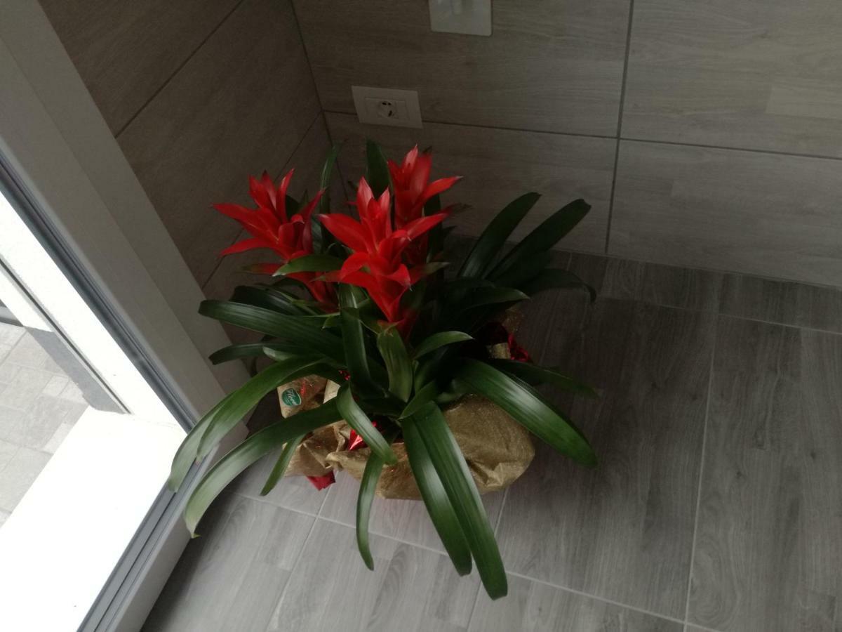 Alessietto Apartment Verona Luaran gambar
